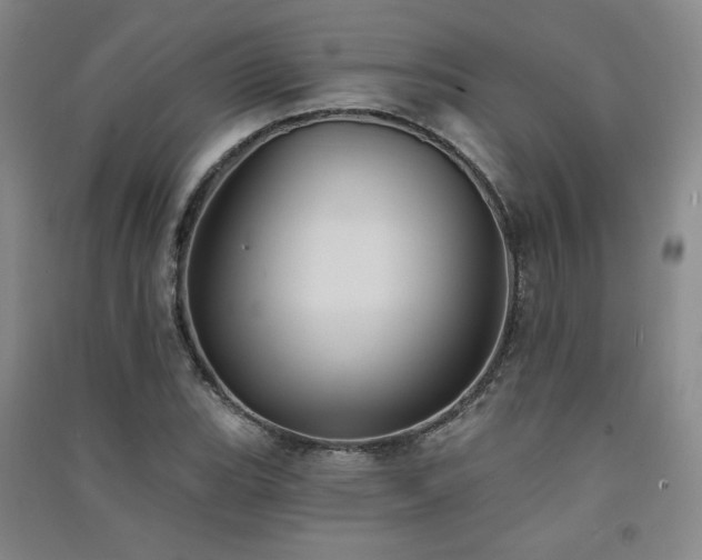 X0000091511119200708171150