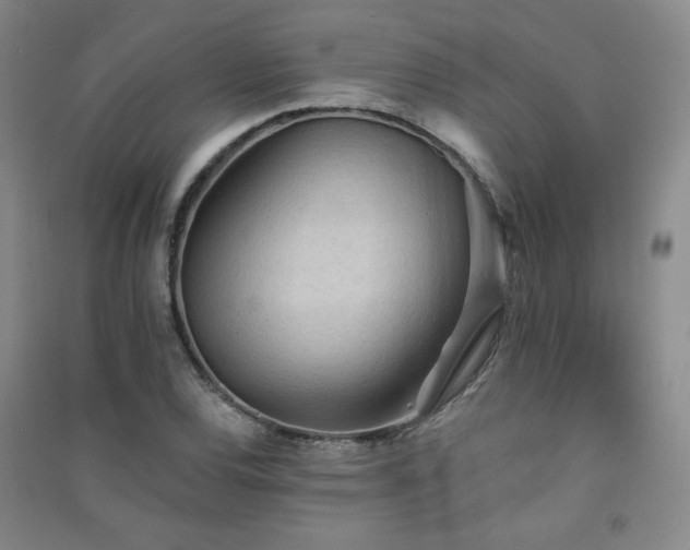 X0000091511120200708171150
