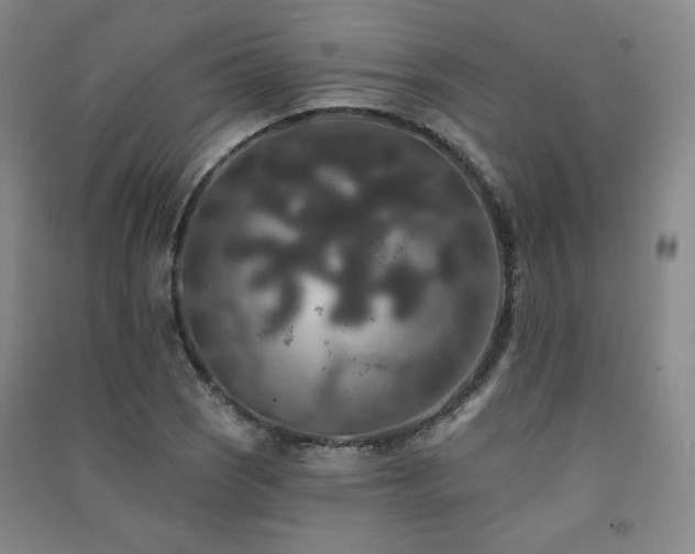 X0000091511121200708171150