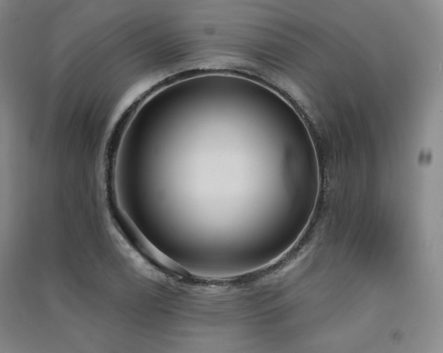 X0000091511122200708171150