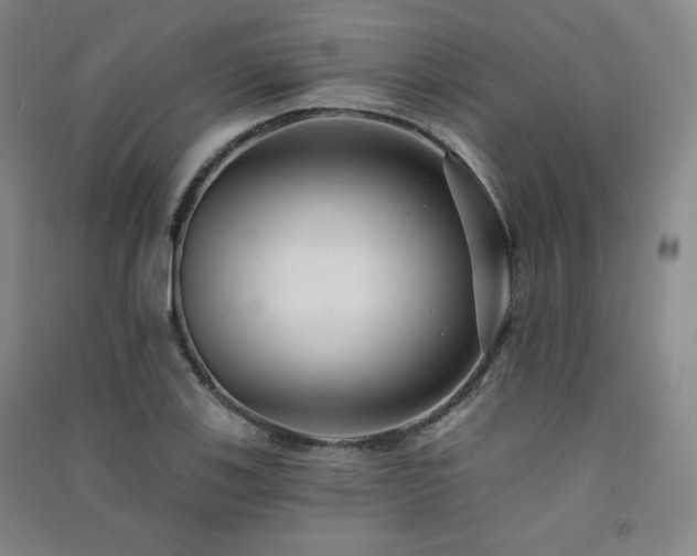 X0000091511123200708171150