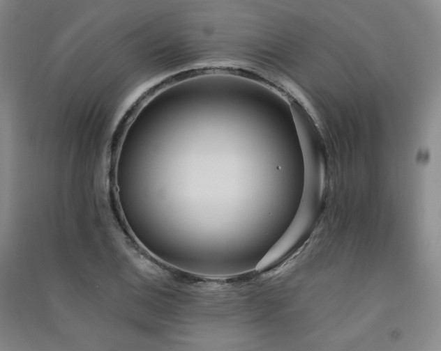 X0000091511124200708171150