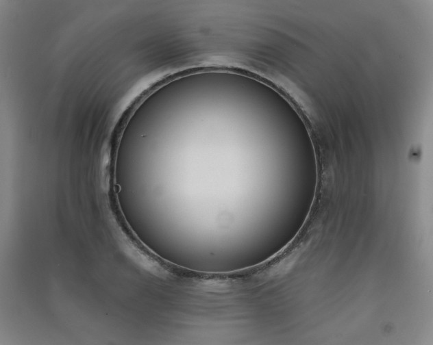 X0000091511126200708171150