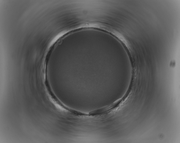 X0000091511127200708171150