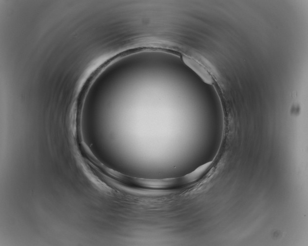 X0000091511128200708171150