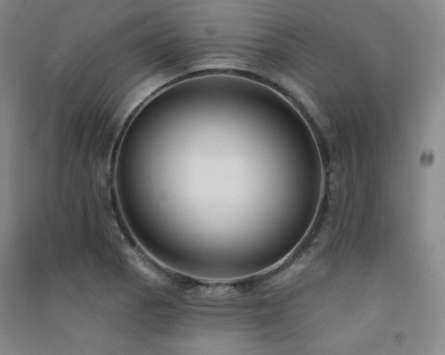 X0000091511129200708171150
