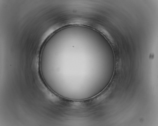 X0000091511130200708171150