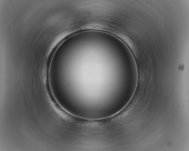 X0000091511131200708171150