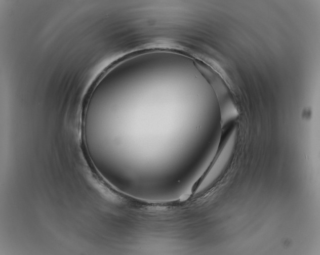 X0000091511132200708171150