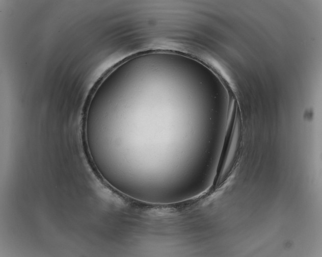 X0000091511133200708171150
