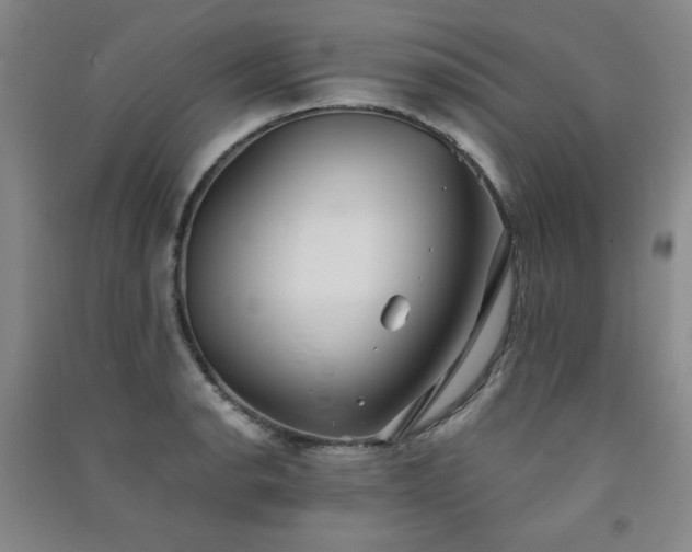 X0000091511134200708171150