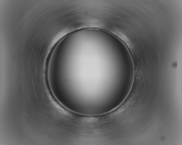 X0000091511135200708171150