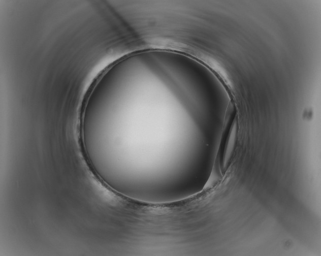 X0000091511136200708171150