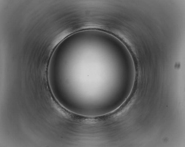 X0000091511137200708171150
