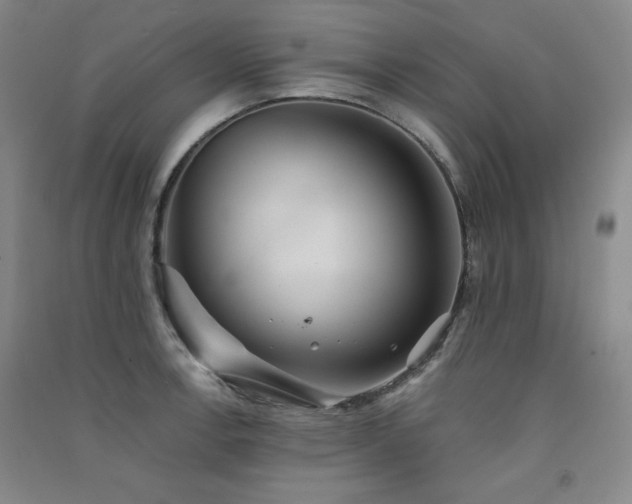 X0000091511138200708171150