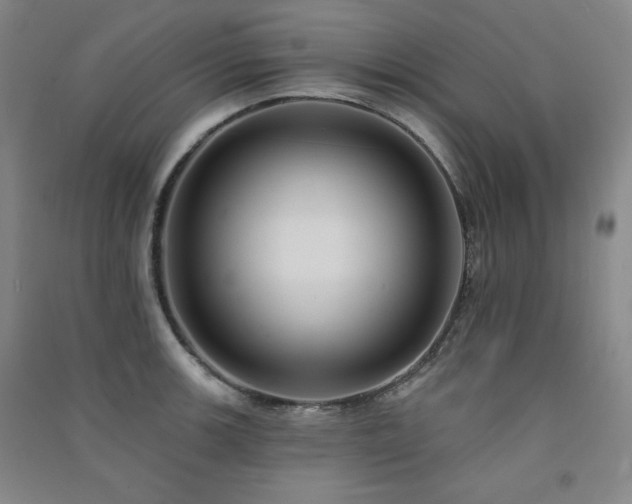 X0000091511139200708171150