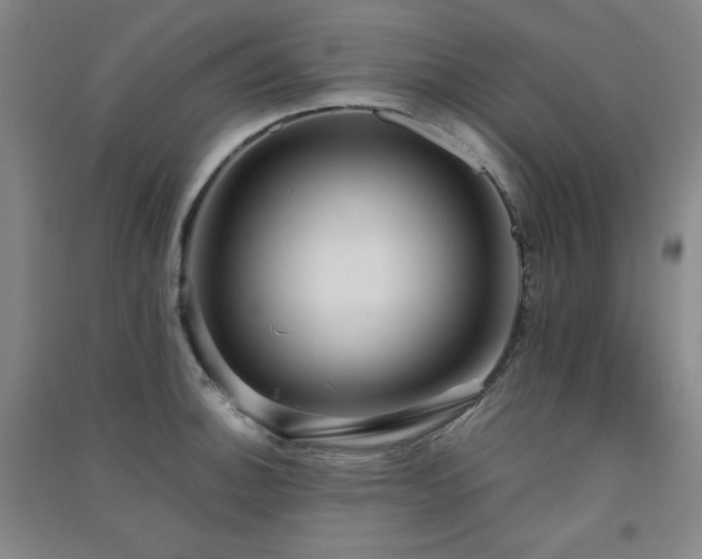 X0000091511140200708171150