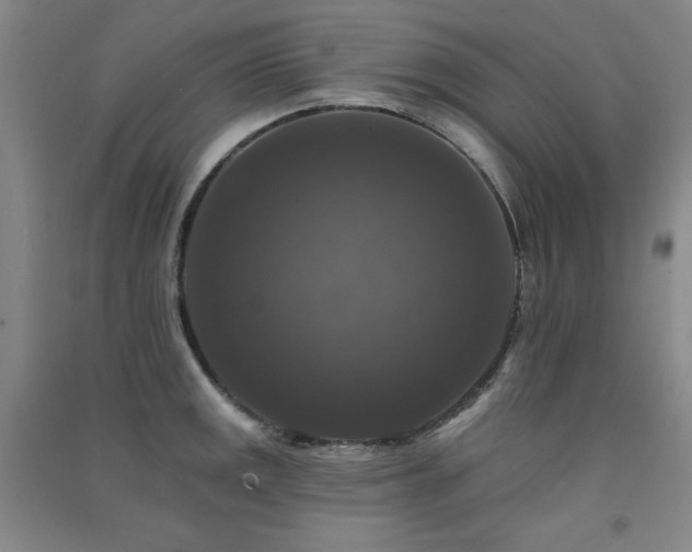 X0000091511141200708171150