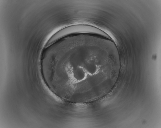 X0000091511142200708171150