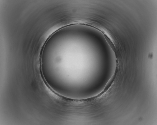X0000091511143200708171150