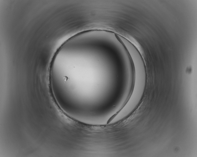 X0000091511144200708171150