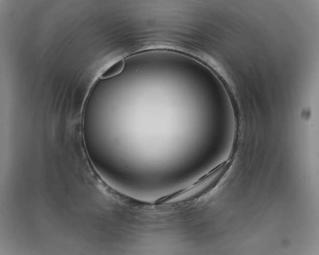 X0000091511145200708171150