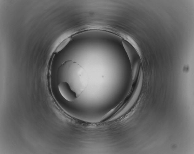 X0000091511146200708171150