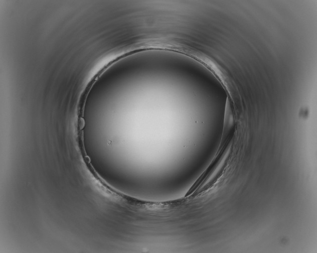 X0000091511147200708171150