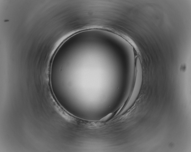 X0000091511148200708171150