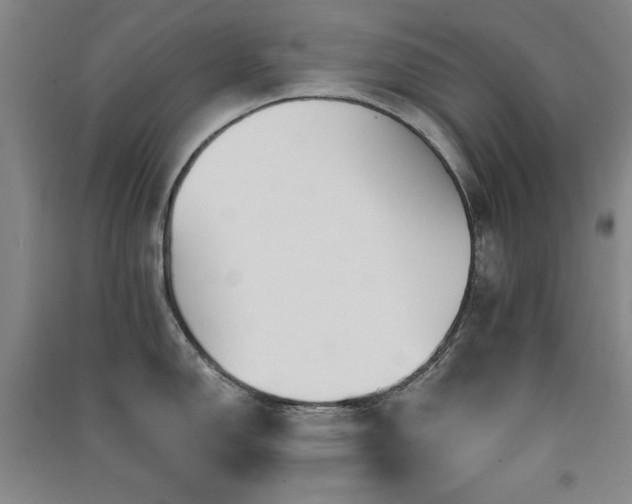 X0000091511150200708171150