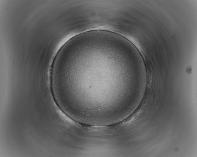 X0000091511151200708171150