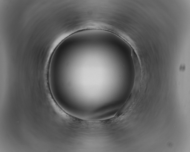 X0000091511152200708171150