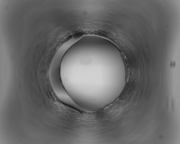 X0000091511153200708171150