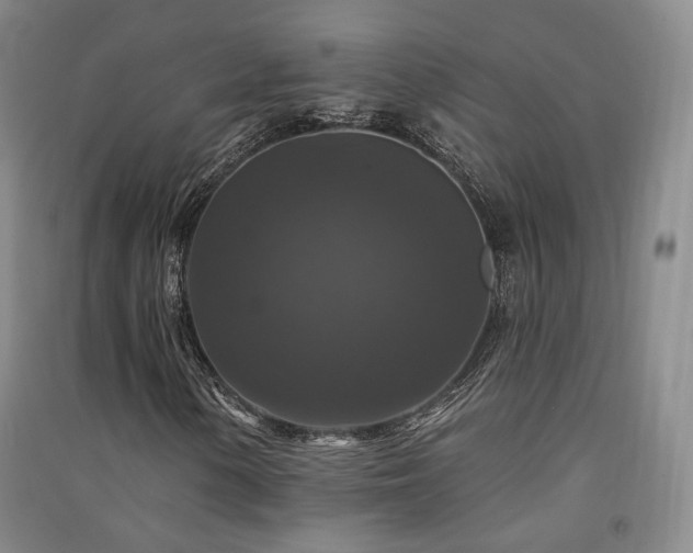 X0000091511154200708171150