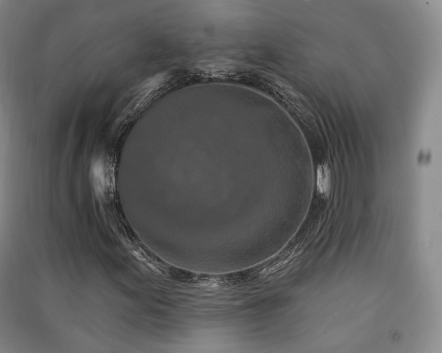 X0000091511155200708171150