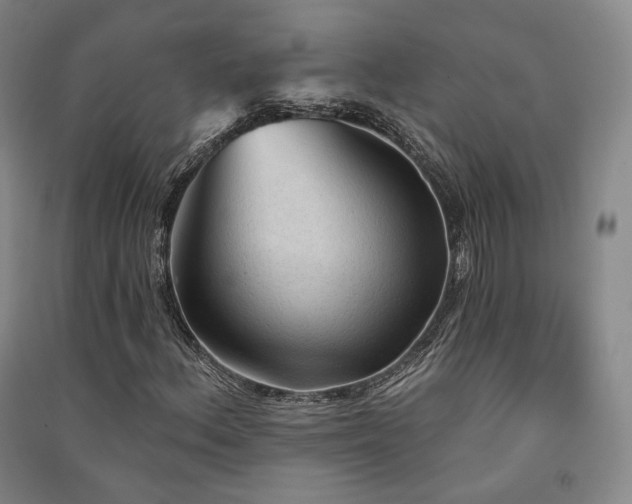 X0000091511156200708171150
