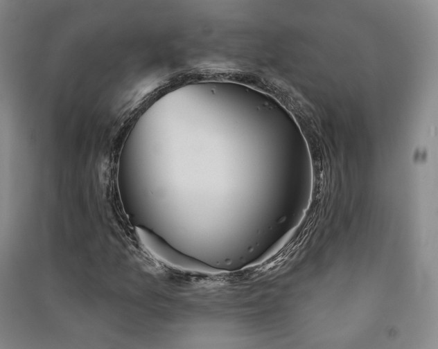 X0000091511157200708171150