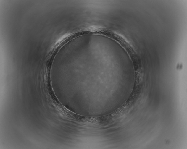 X0000091511158200708171150