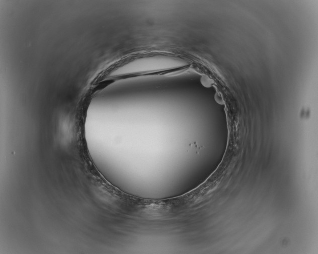 X0000091511160200708171150