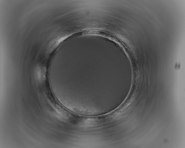 X0000091511161200708171150