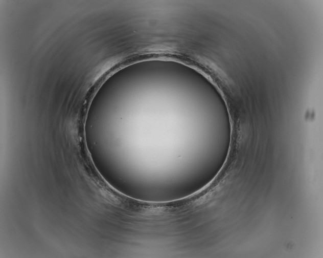 X0000091511162200708171150
