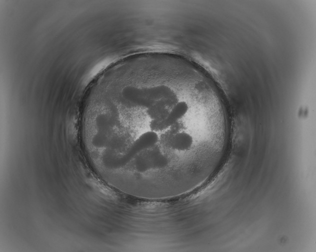 X0000091511163200708171150