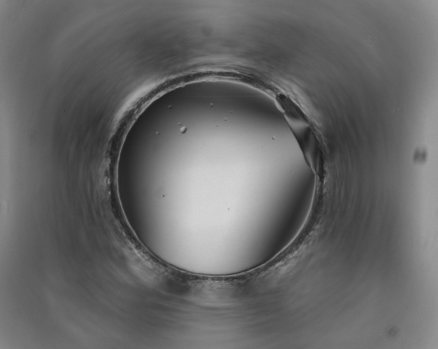 X0000091511164200708171150