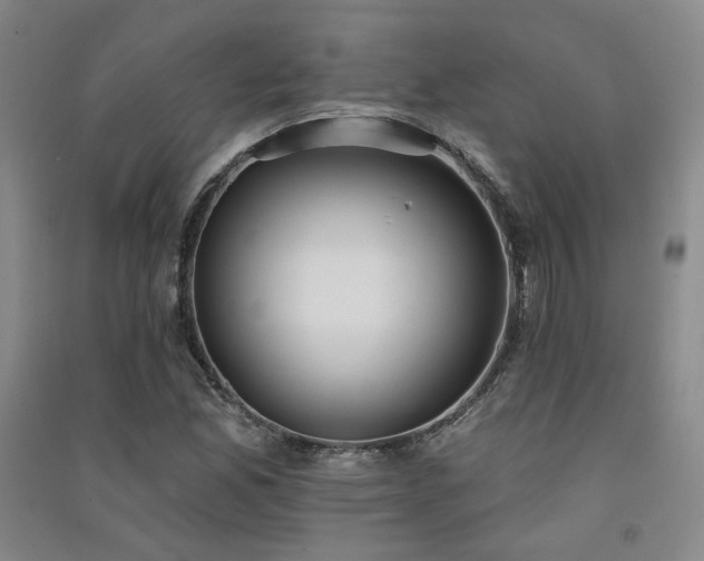 X0000091511165200708171150