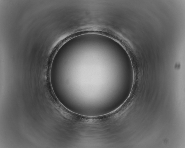 X0000091511166200708171150