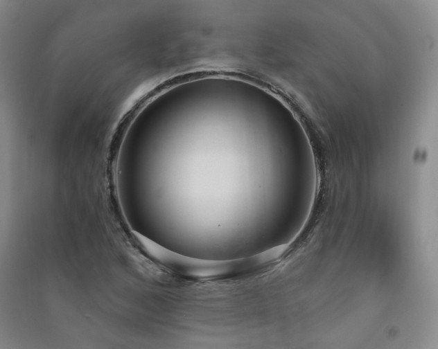 X0000091511168200708171150