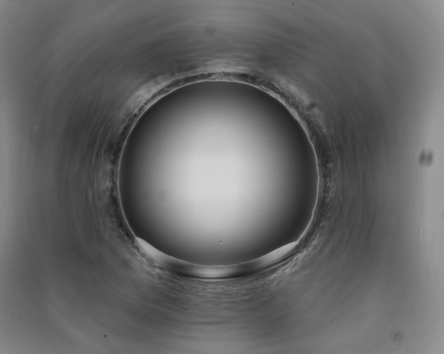 X0000091511169200708171150