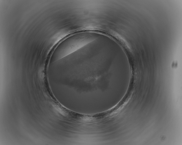 X0000091511170200708171150