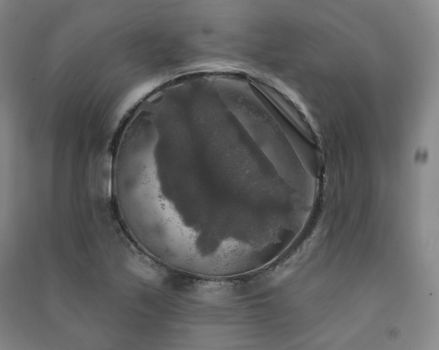 X0000091511171200708171150