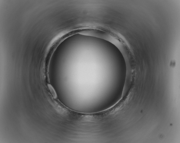X0000091511172200708171149
